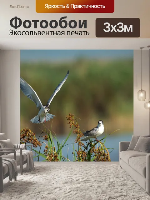 Фотообои Посадка