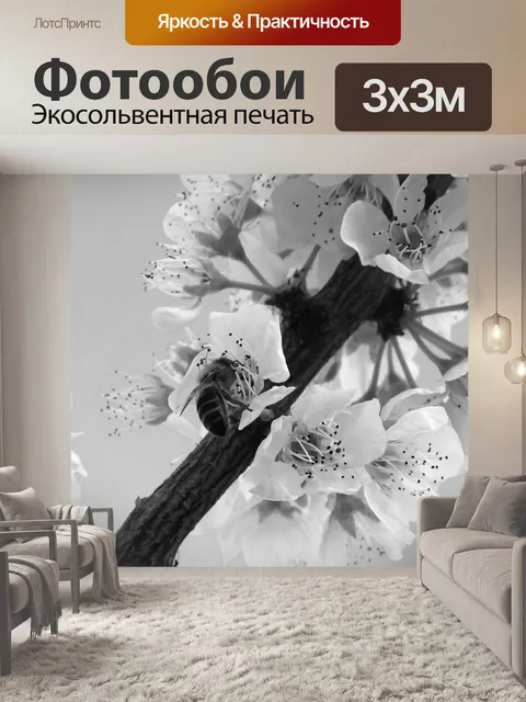 Фотообои Цветы