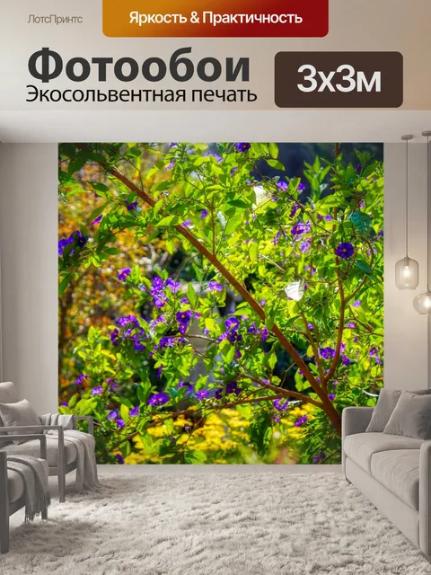 Фотообои Цветы