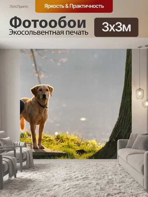 Фотообои Собака