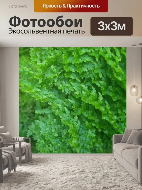 Фотообои Папоротник