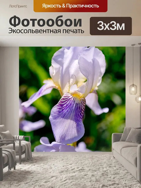 Фотообои Природа