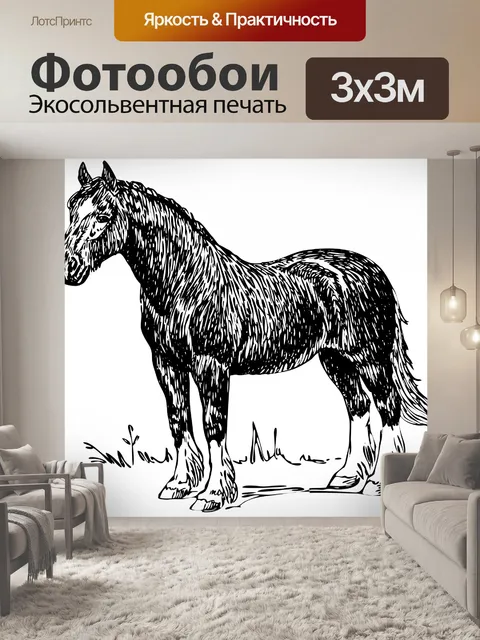 Фотообои Лошадь Иллюстрация Клипарт