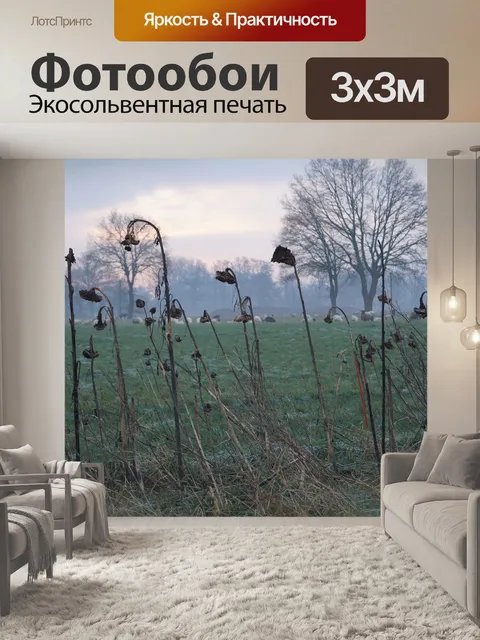 Фотообои Маки