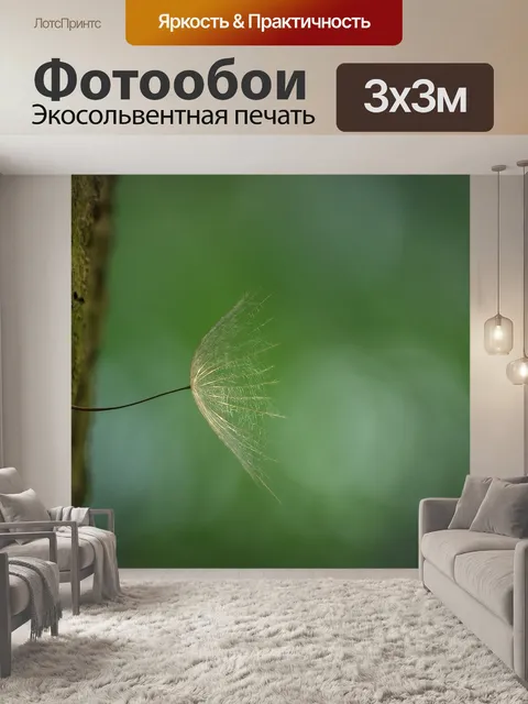 Фотообои Одуванчик