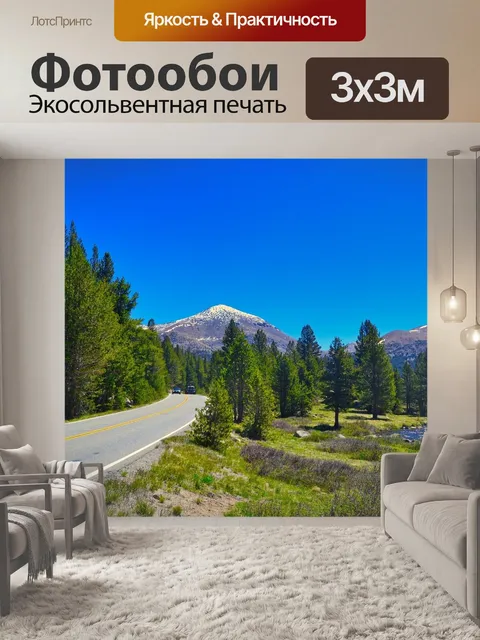 Фотообои Дорога