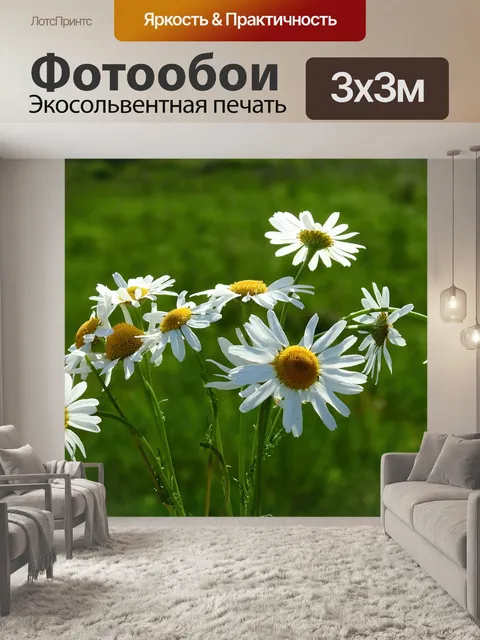 Фотообои Цветы
