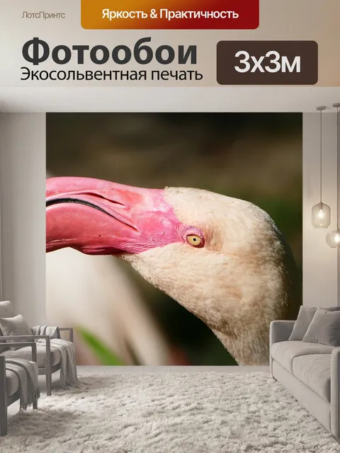 Фотообои Фламинго