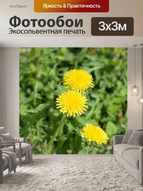 Фотообои Одуванчик