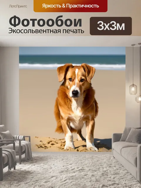 Фотообои животные в стиле минимализм с совпадением цветов шершава собаки и нагретого солнцем песка