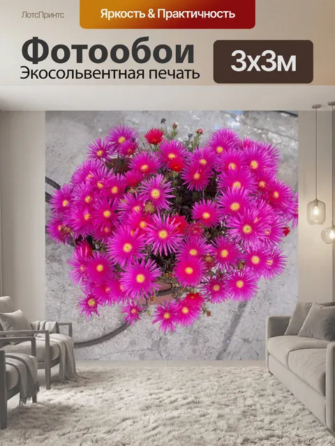 Фотообои Луч солнца