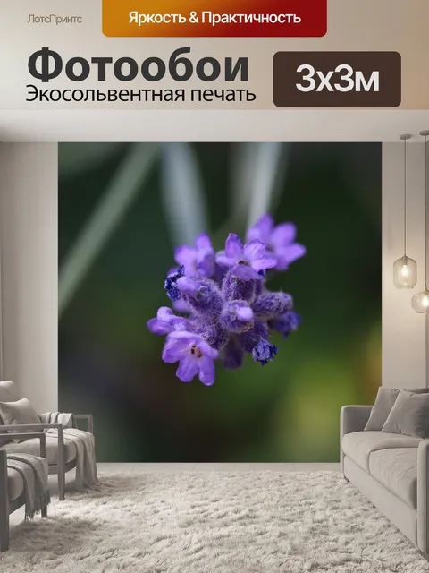 Фотообои Лаванда