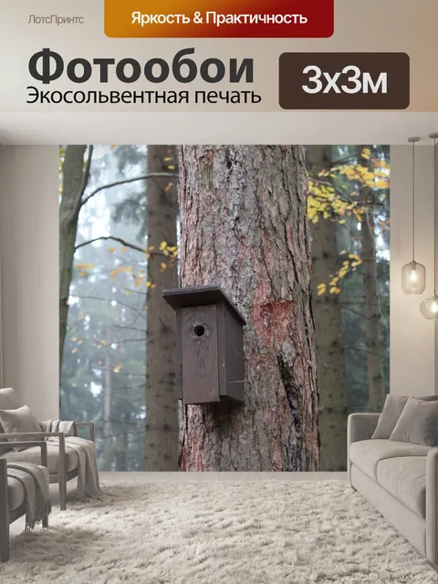 Фотообои Осень