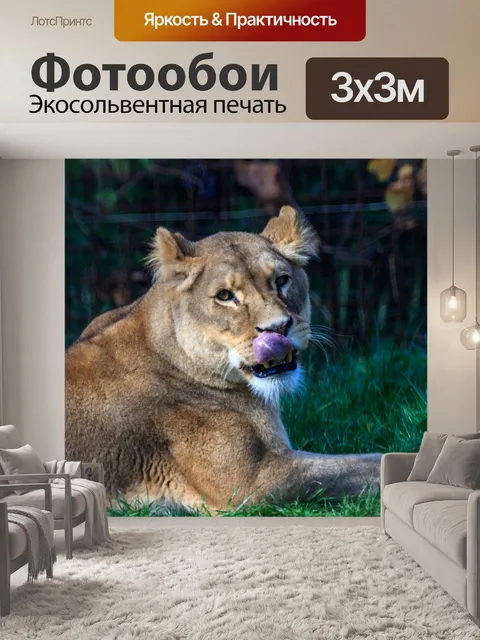 Фотообои Лев
