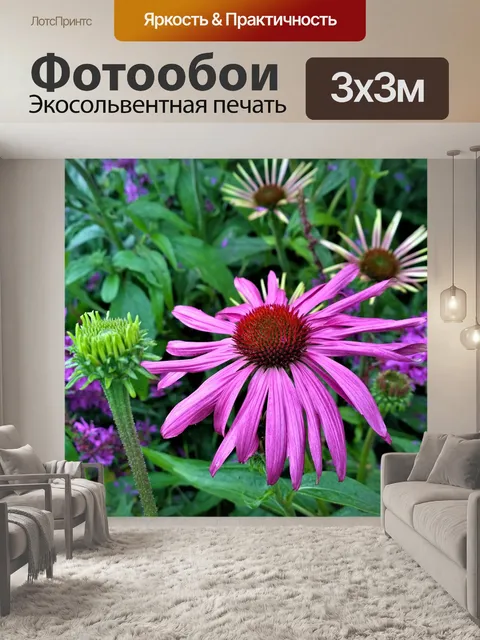 Фотообои Цветы
