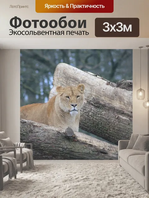 Фотообои Львица