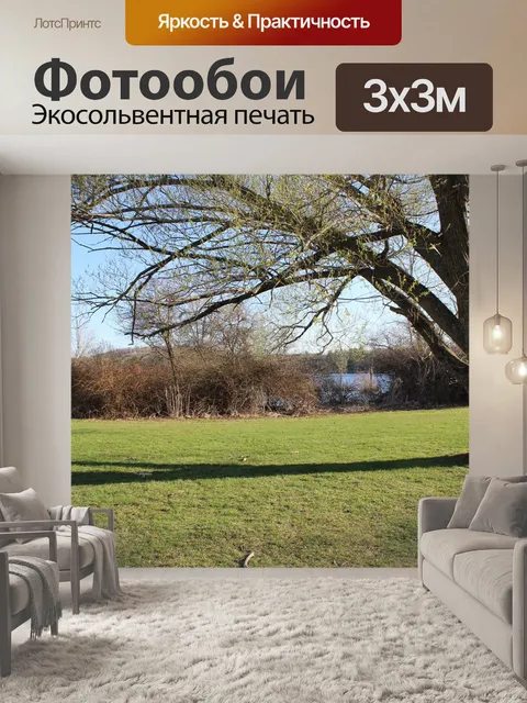 Фотообои Трава