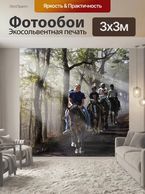 Фотообои Лошади