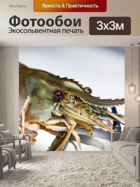 Фотообои Свежие приготовленные креветки фон мореп