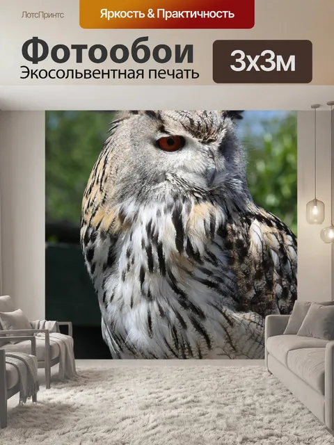 Фотообои Филин