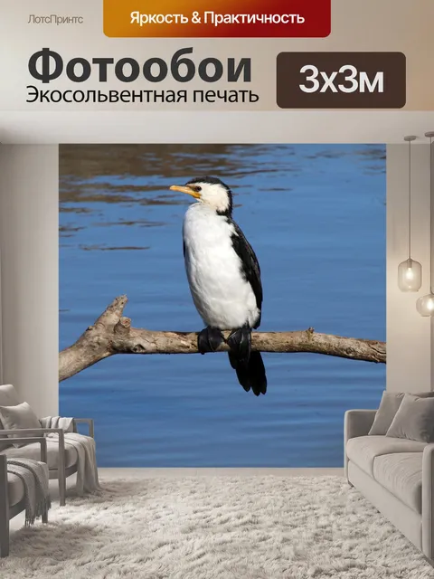 Фотообои Птица