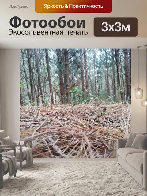 Фотообои Лес