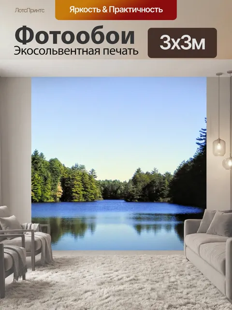 Фотообои Все еще вода в лесу