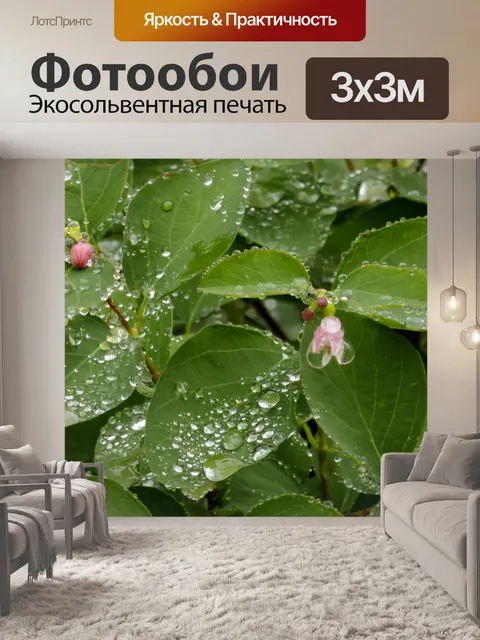 Фотообои После дождя