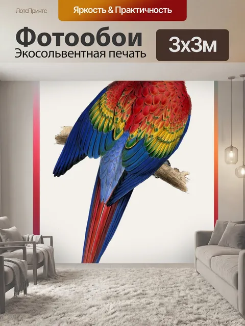 Фотообои Попугай - LEAR 1