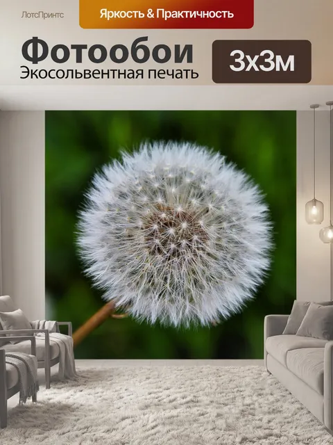 Фотообои Одуванчик