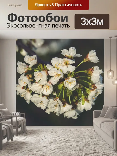 Фотообои Вишни в цвету