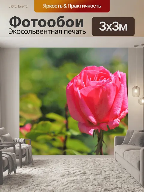 Фотообои Розы