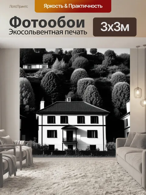 Фотообои пейзаж с домами деревьями чернобелый