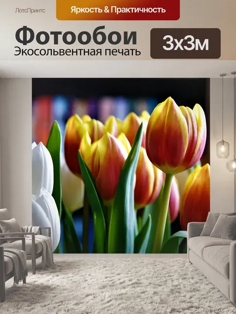 Фотообои Тюльпаны