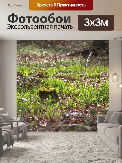 Фотообои Лес