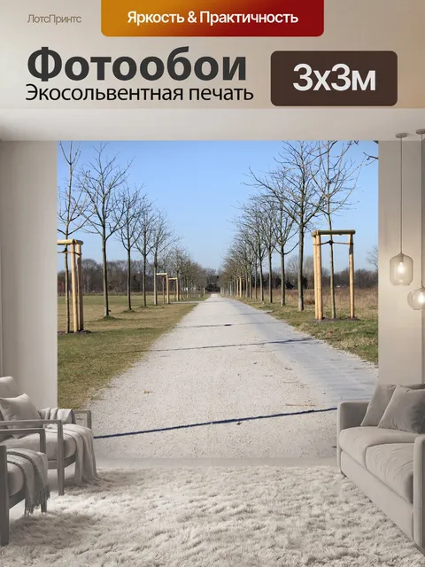 Фотообои Фон