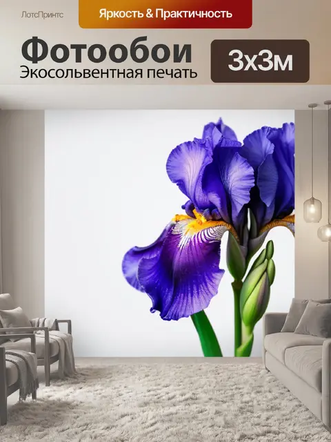 Фотообои с ирисами минимал
