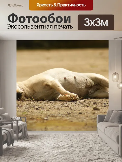 Фотообои Природа