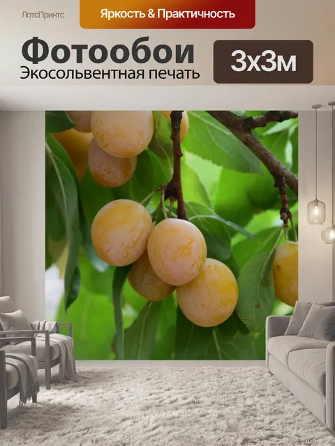 Фотообои Фрукты
