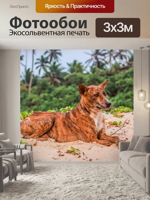 Фотообои Природа
