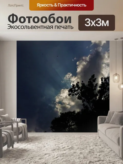 Фотообои Лучи солнца