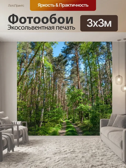 Фотообои Лес