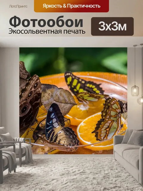 Фотообои Бабочки