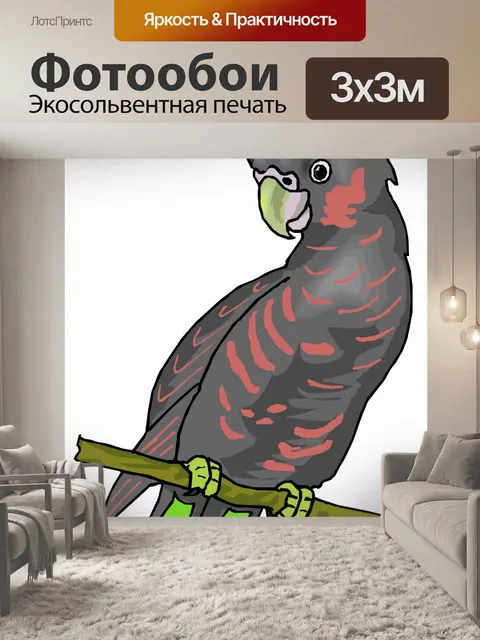 Фотообои (тропических) птицы