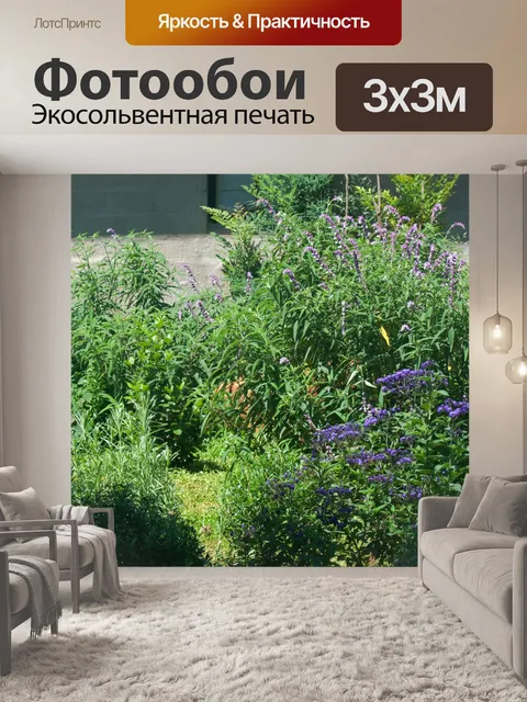 Фотообои Плектранус и фиолетовые цветы