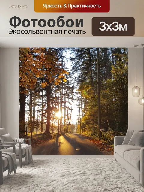 Фотообои Дорожка