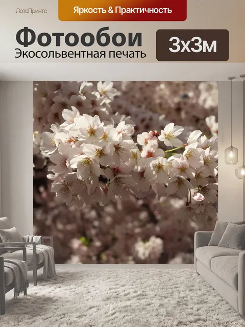 Фотообои Сакура