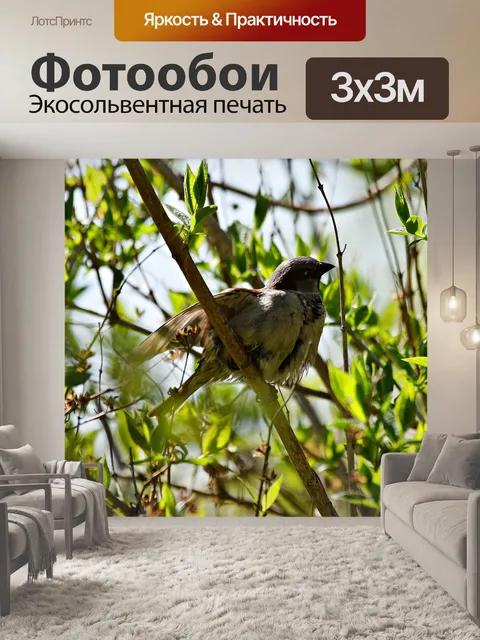 Фотообои Птица
