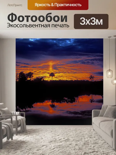 Фотообои Эверглейдс Восход