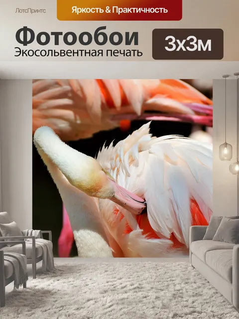 Фотообои Фламинго